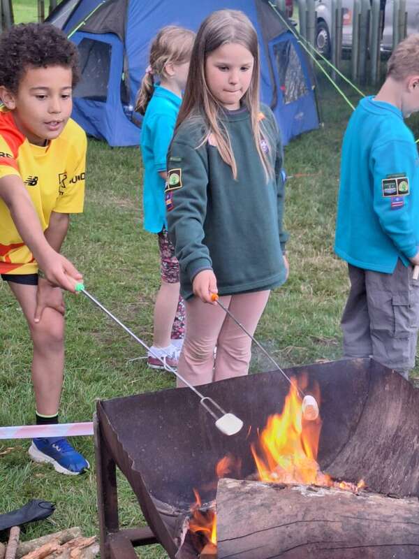 Cooking marshmallows on fire